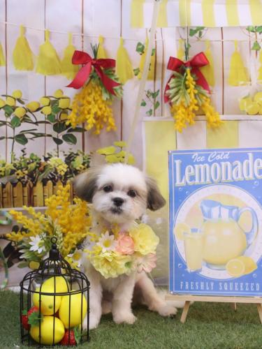 20240410もぐちゃん